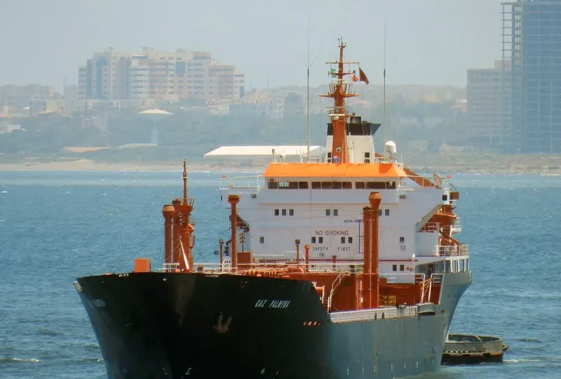 GAZ PALMYRA General Cargo IMO 8206612 photo 7