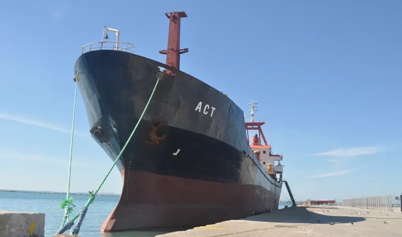 MEGA D General Cargo IMO 8206791 photo 9