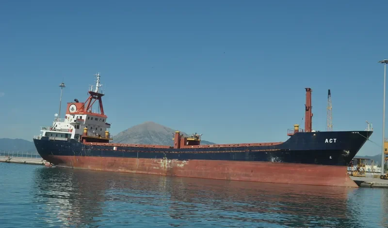 MEGA D General Cargo IMO 8206791 photo 10
