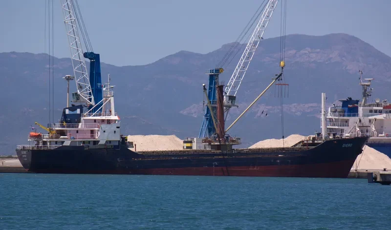 DIGNO General Cargo IMO 8206806