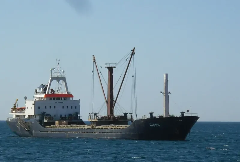 DIGNO General Cargo IMO 8206806 photo 3