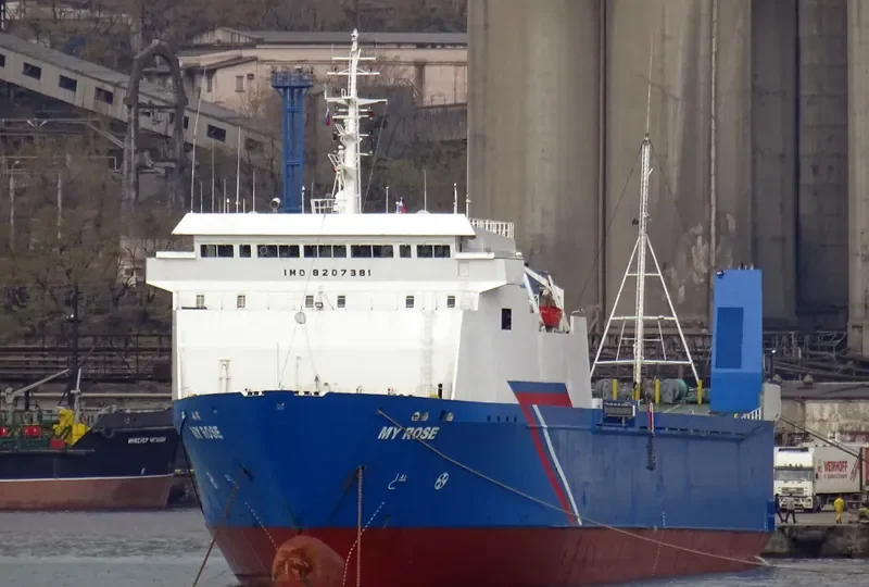 MY ROSE Ro-Ro IMO 8207381 photo 2