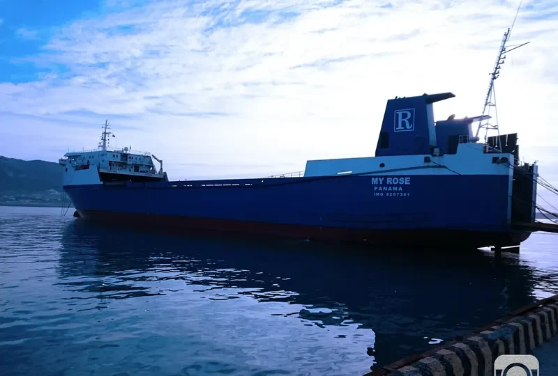 MY ROSE Ro-Ro IMO 8207381 photo 6