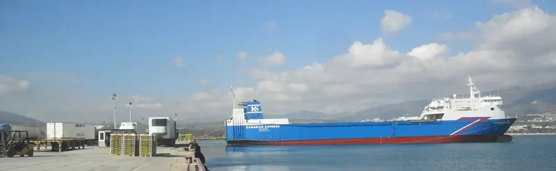 MY ROSE Ro-Ro IMO 8207381 photo 9