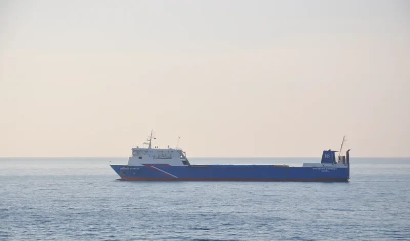 MY ROSE Ro-Ro IMO 8207381 photo 10