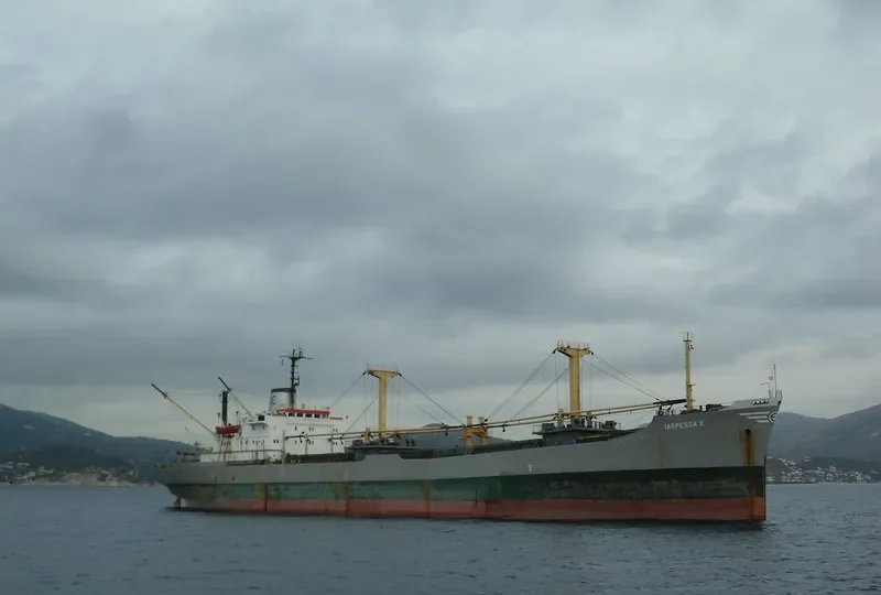 MARPESSA E General Cargo IMO 8207953