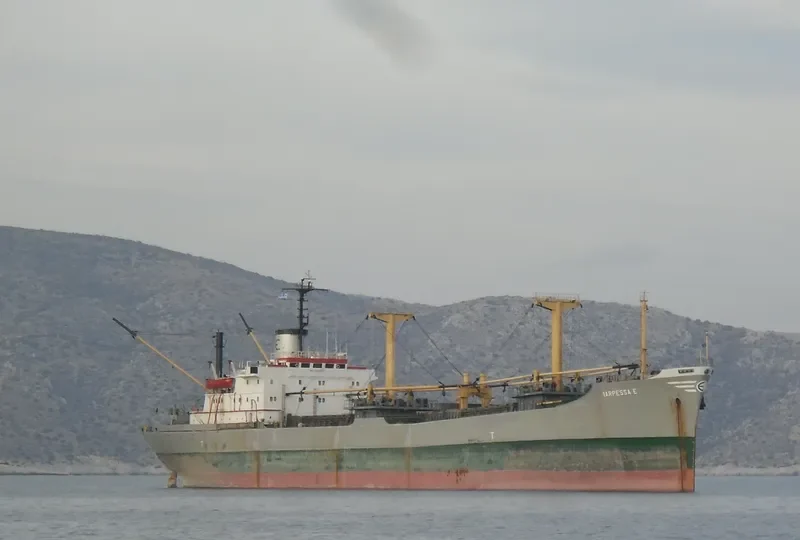 MARPESSA E General Cargo IMO 8207953 photo 3