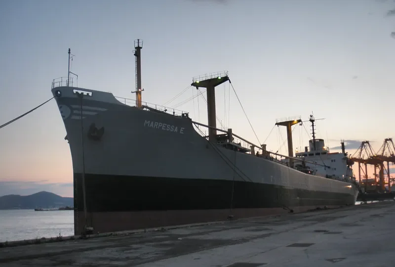 MARPESSA E General Cargo IMO 8207953 photo 8