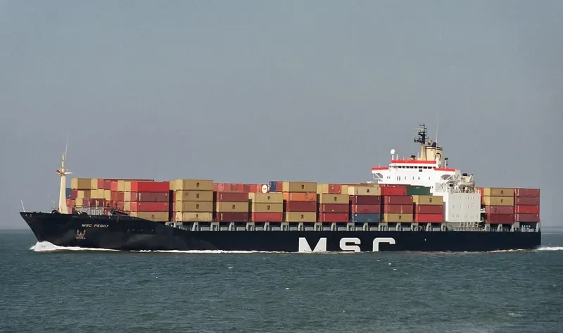 MSC PEGGY Container Ship IMO 8208672