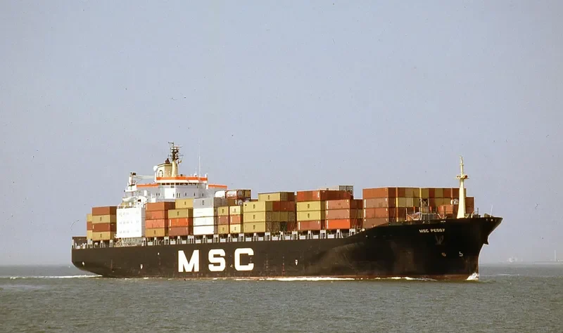MSC PEGGY Container Ship IMO 8208672 photo 2