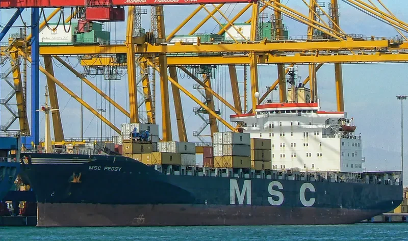 MSC PEGGY Container Ship IMO 8208672 photo 3