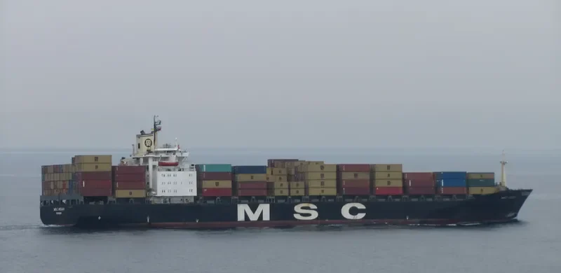 MSC PEGGY Container Ship IMO 8208672 photo 4