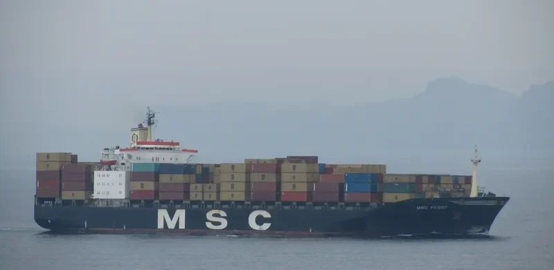 MSC PEGGY Container Ship IMO 8208672 photo 5
