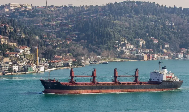 KOUPI Bulk Carrier IMO 8209028