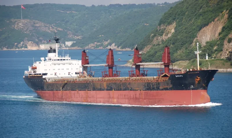 KOUPI Bulk Carrier IMO 8209028 photo 3