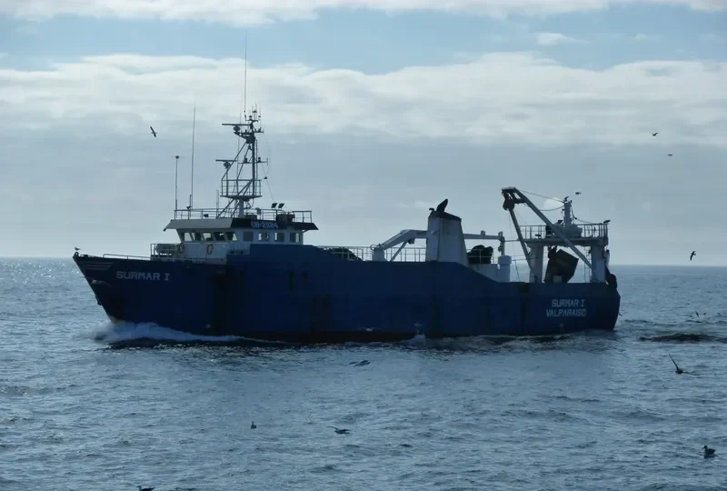 SURMAR I General Cargo IMO 8209315 photo 3