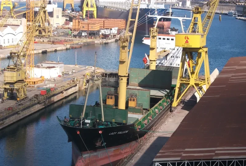 SEA GLORY General Cargo IMO 8209626 photo 10