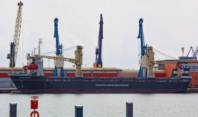 ANDREA Ro-Ro IMO 8209690