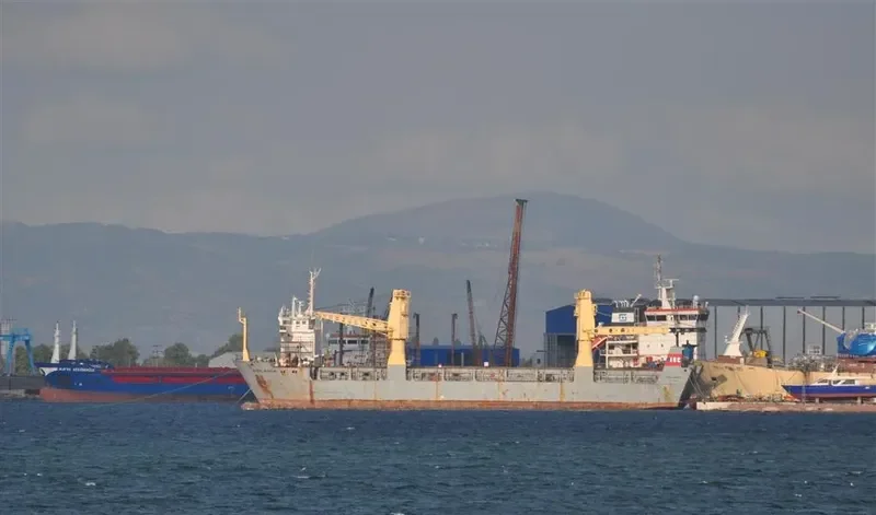 ANDREA Ro-Ro IMO 8209690 photo 3