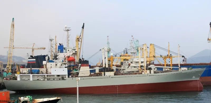 BUKHTA ASACHA General Cargo IMO 8210247