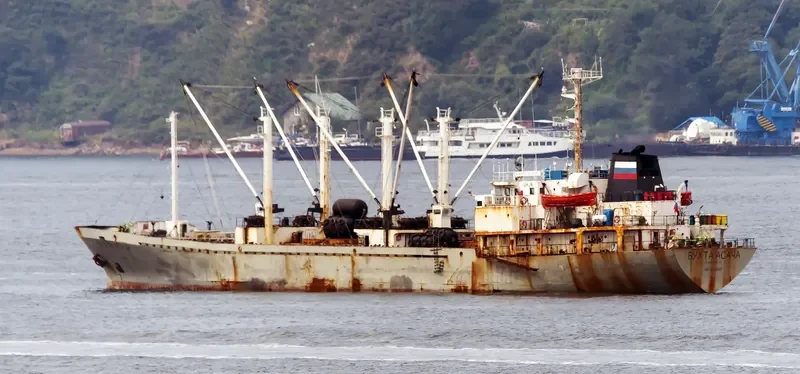 BUKHTA ASACHA General Cargo IMO 8210247 photo 5