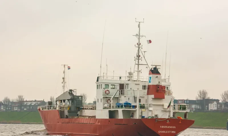 VESTLANDIA General Cargo IMO 8211100 photo 8