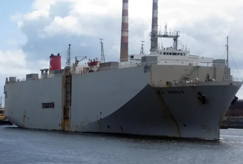 GMT VENUS General Cargo IMO 8211514 photo 2