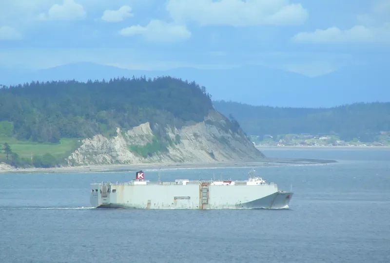 GMT VENUS General Cargo IMO 8211514 photo 9