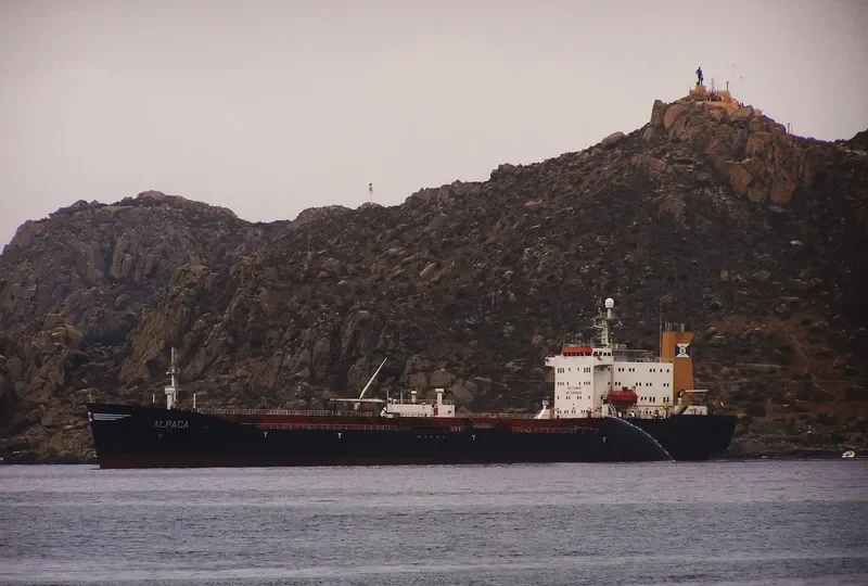 ARAUCANO General Cargo IMO 8212300