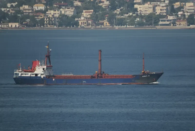 DIDIM FATSA General Cargo IMO 8212336 photo 2