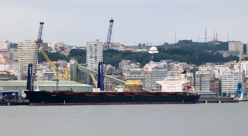 DIDIM FATSA General Cargo IMO 8212336 photo 3