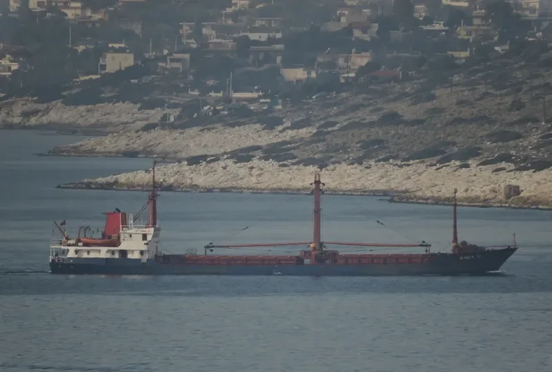 DIDIM FATSA General Cargo IMO 8212336 photo 5