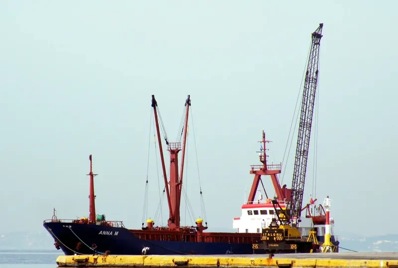 DIDIM FATSA General Cargo IMO 8212336 photo 6