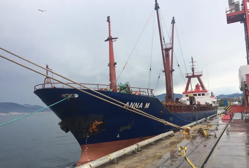 DIDIM FATSA General Cargo IMO 8212336 photo 10