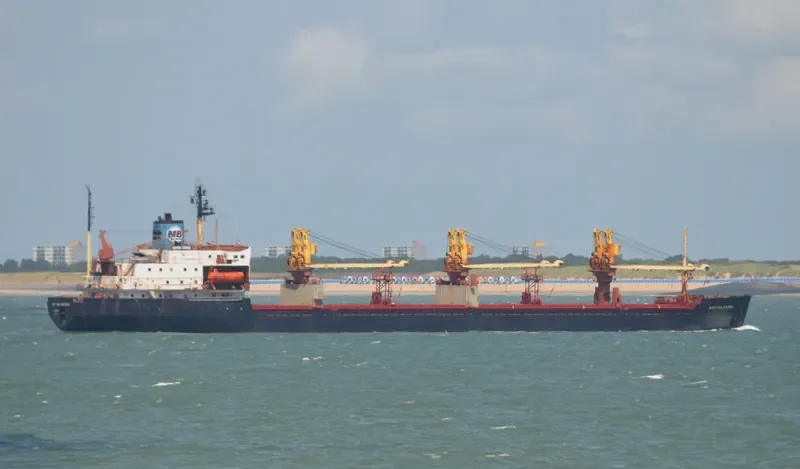 KAPITAN BOCHEK Bulk Carrier IMO 8212946 photo 8