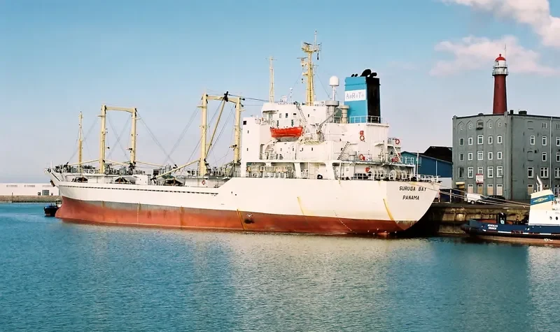 SURUGA BAY General Cargo IMO 8213550