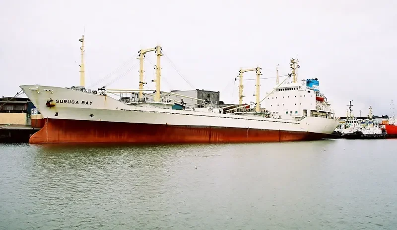 SURUGA BAY General Cargo IMO 8213550 photo 2