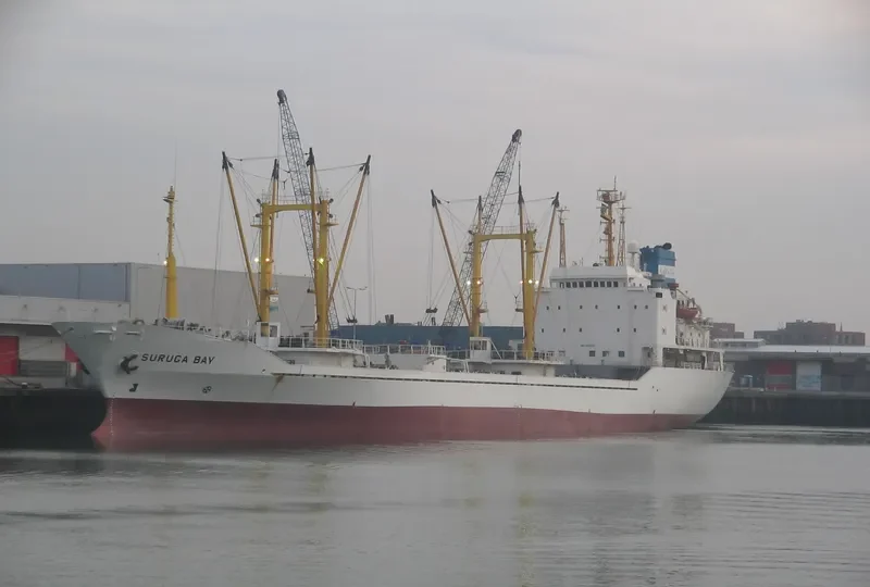 SURUGA BAY General Cargo IMO 8213550 photo 3