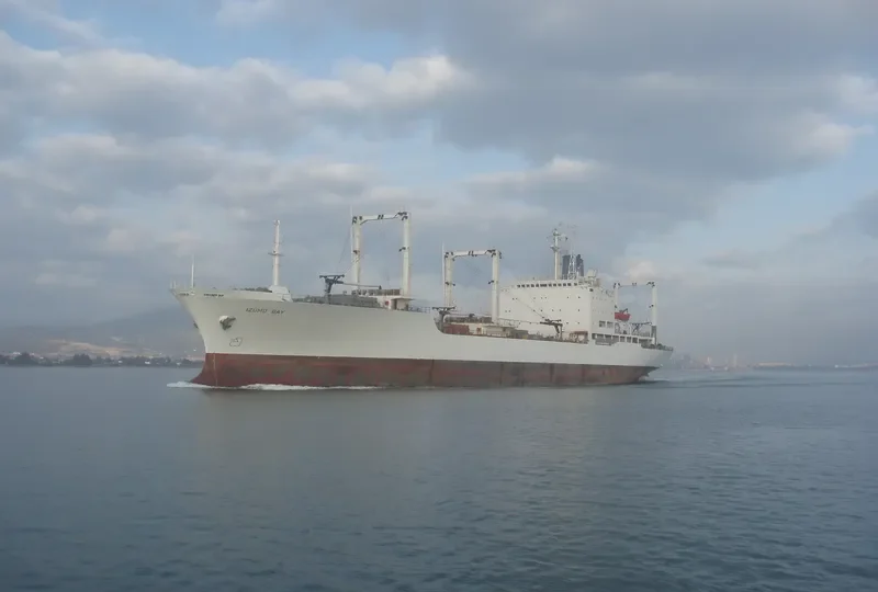 IZUMO BAY General Cargo IMO 8213598 photo 4
