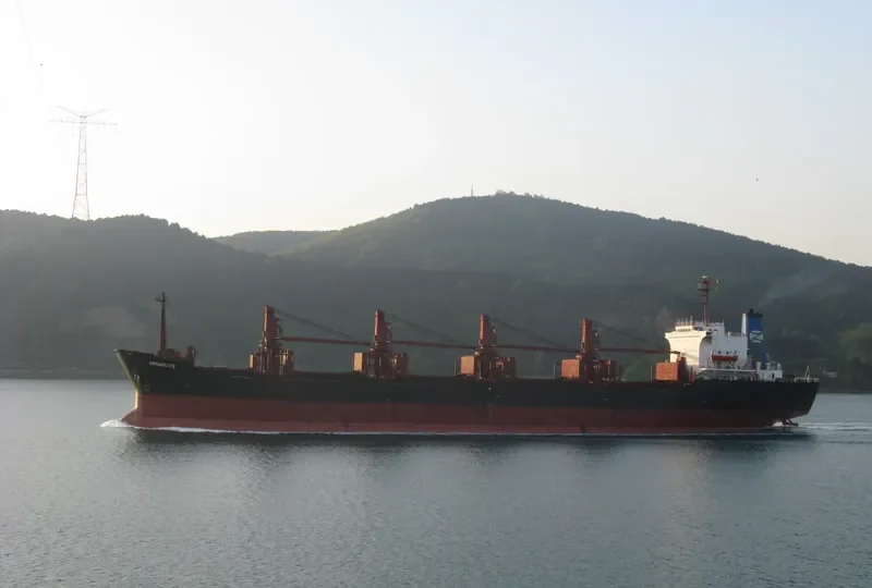 GOLDEN OCEAN Bulk Carrier IMO 8213847 photo 2