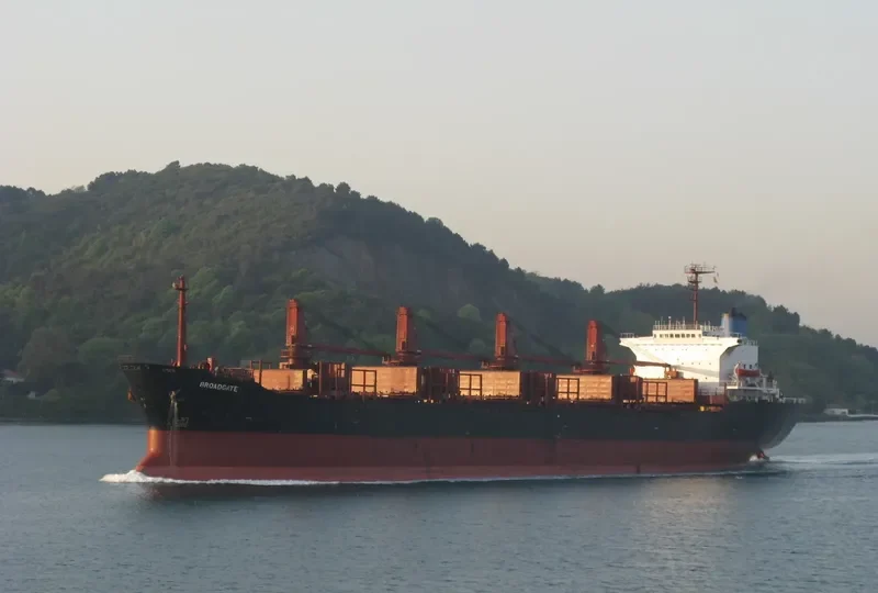 GOLDEN OCEAN Bulk Carrier IMO 8213847 photo 3