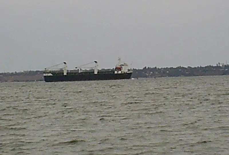 OCEAN FORCE Ro-Ro IMO 8215613