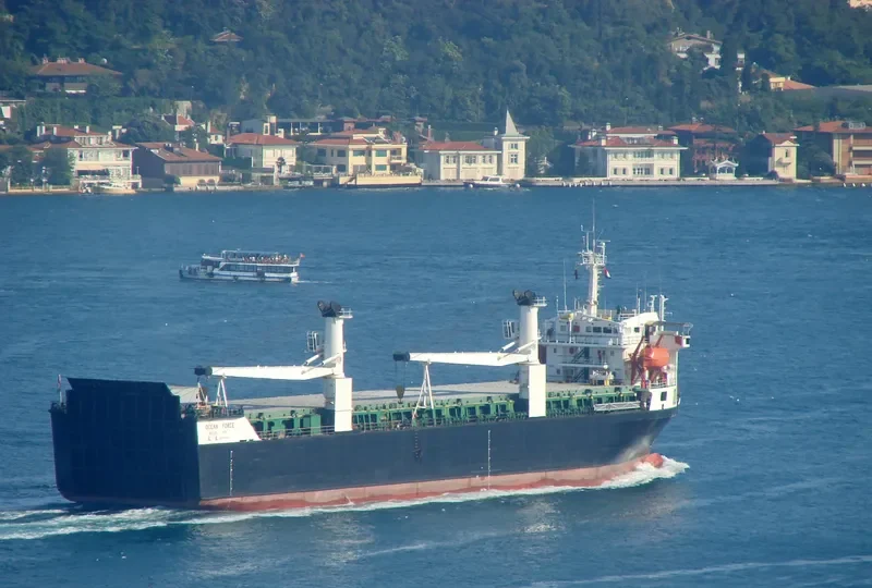 OCEAN FORCE Ro-Ro IMO 8215613 photo 2