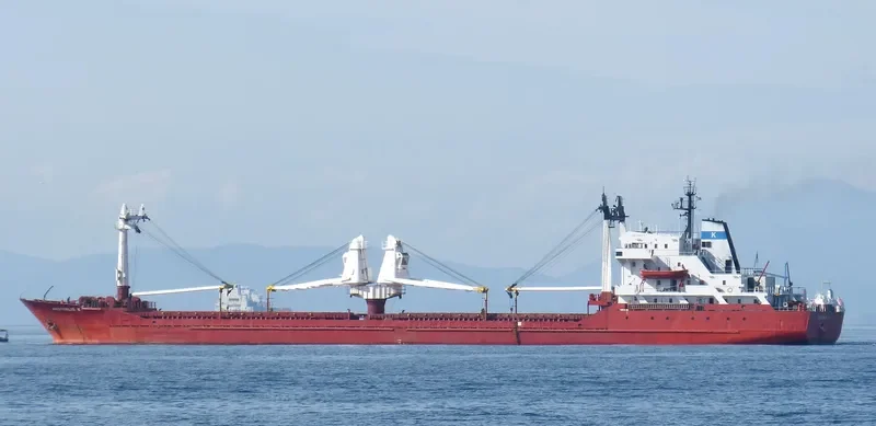 VANGUARD General Cargo IMO 8216136 photo 2