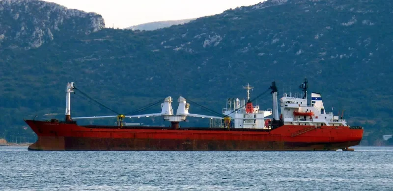 VANGUARD General Cargo IMO 8216136 photo 7
