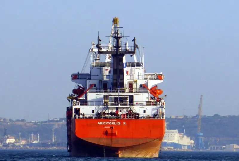 VANGUARD General Cargo IMO 8216136 photo 8