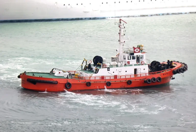 MARI General Cargo IMO 8216851 photo 2