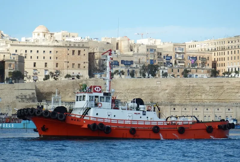 MARI General Cargo IMO 8216851 photo 4