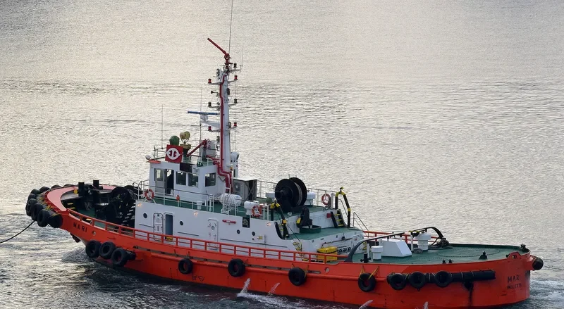 MARI General Cargo IMO 8216851 photo 7