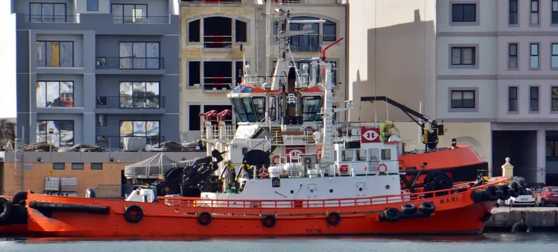 MARI General Cargo IMO 8216851 photo 8